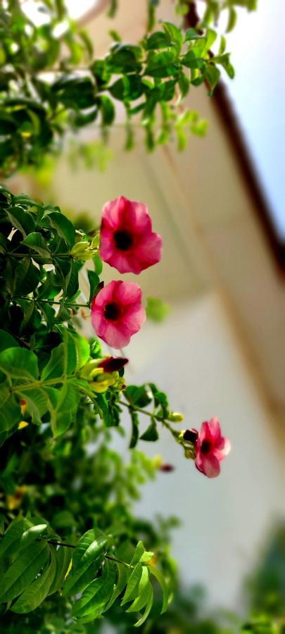 Dulaa Deema Residence Brufut Heights Tranquil Esterno foto