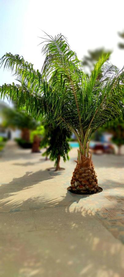 Dulaa Deema Residence Brufut Heights Tranquil Esterno foto